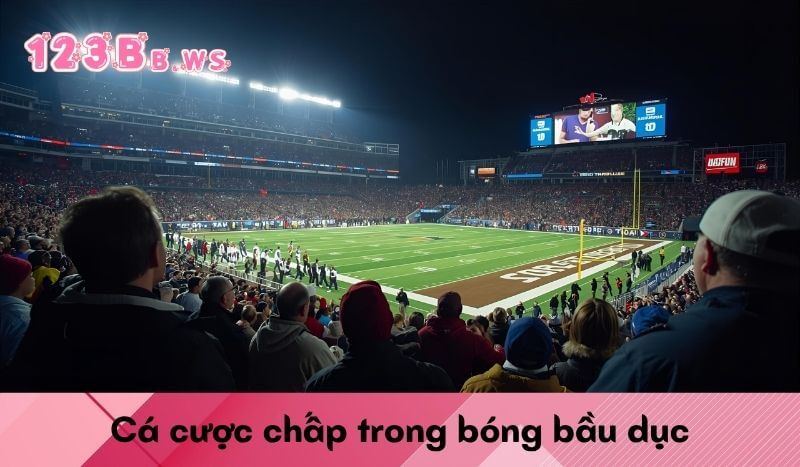 Cá cược chấp trong bóng bầu dục