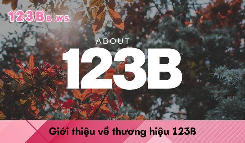 Giới thiệu về thương hiệu 123B